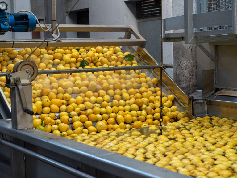 Azienda_Fratelli Calabretta-01