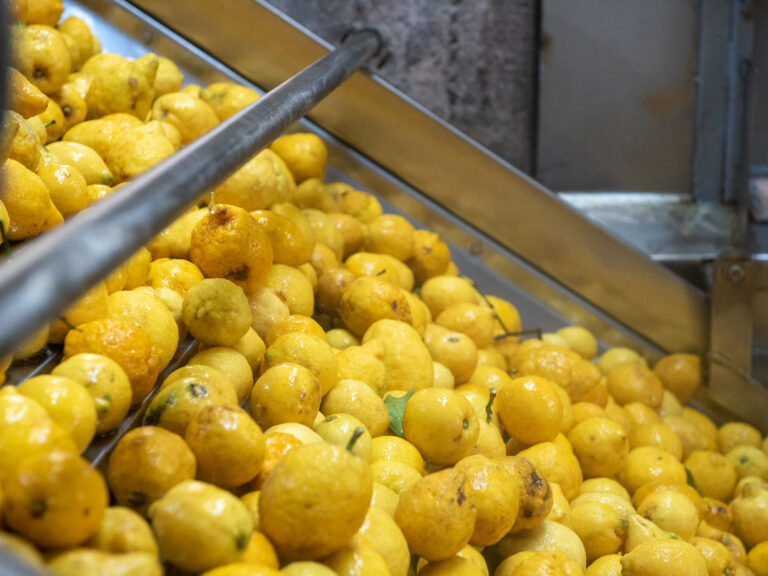 Azienda_Fratelli Calabretta-02