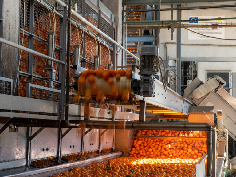 Azienda_Fratelli Calabretta-04