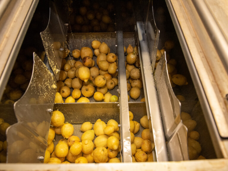 Azienda_Fratelli Calabretta-16