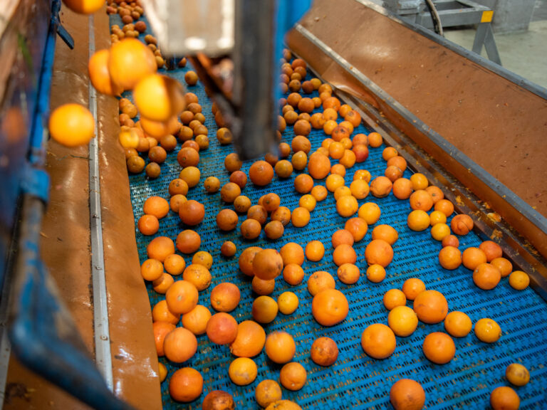 Azienda_Fratelli Calabretta-22